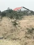 Kiwanja Kinauzwa Malaa, Kangundo Road - 2