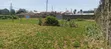 Kitalu cha 1/4 Acre Naka Estate, Menengai - 4