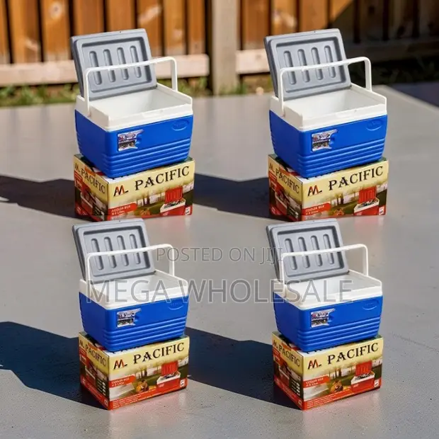 Insulated Portable Cooler Box Ice Box 4.5L - 1