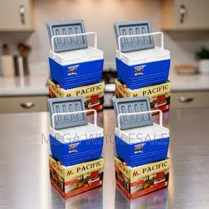 Reusable 4.5L Portable Cooler Box Ice Box