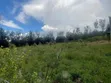 0.5 Acre Plot in Kiserian Near Brookhurst School - 5