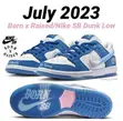 Nike SB Dunk Low x Born x Raised "One Block at a Time" - 4