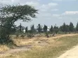 Prime 1.2 Acre Residential Land for Sale in Old Muthaiga - 1
