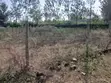Kitalu cha 0.1ha cha Kuuzwa Bondo Karibu na JOOUST - 2