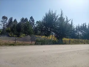 Prime 50x100 Plot for Sale in Engineer, Kinangop