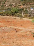 20 Acres Land for Sale in Mua, Kitanga - 3