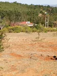 20 Acres Land for Sale in Mua, Kitanga - 4