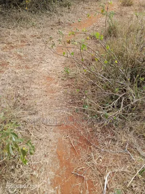 Eneo la Eka 100 Linauzwa Kitui, Kwa Vonza