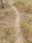 Eneo la Eka 100 Linauzwa Kitui, Kwa Vonza - 3