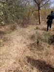 Eneo la Eka 100 Linauzwa Kitui, Kwa Vonza - 4