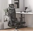 Orthopedic Executive Mesh Chair - High Back - 1