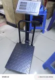 Digital Platform Weighing Scale 150kg - 2