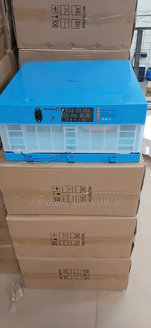 64 Egg Incubator Machine AC/DC