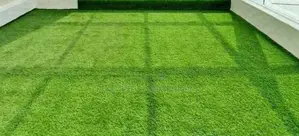 Natural-Looking Artificial Grass Carpet