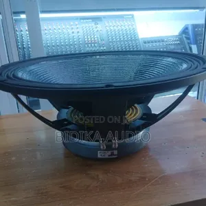 Derwel 18AH186 Professional 18-inch 1000W Loudspeaker