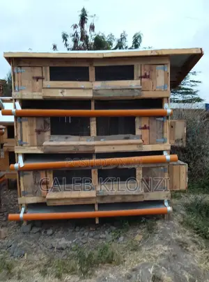 Three Partition Chicken Coop - Brand New