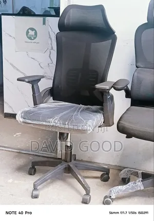 Brand New Orthopedic Office Chair
