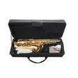 Brand New Alto Saxophone - 2