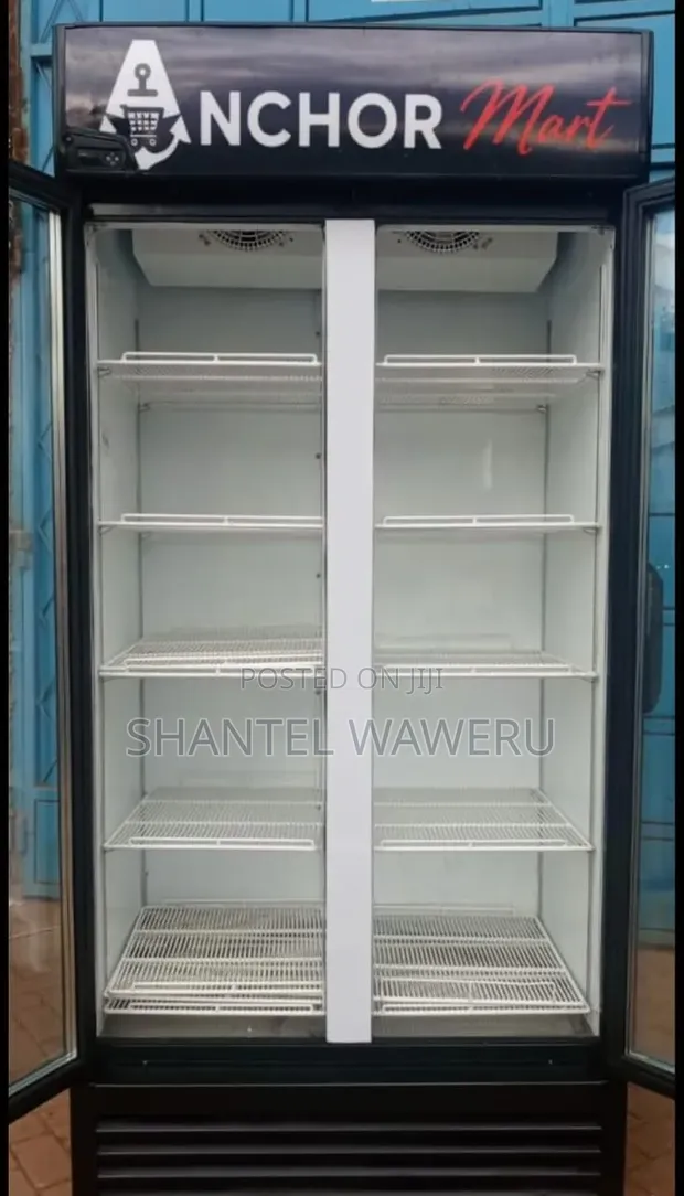 1000L 2-Door Display Refrigerator - 1