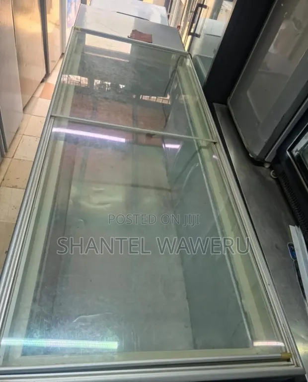 Commercial Display Chiller / Deep Freezer - 800L - 1
