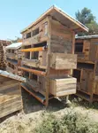 Three-Partition Self-Cleaning Chicken Cage - 1