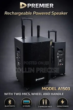 Rechargeable Powered Speaker with 2 Wireless Mics (300W)