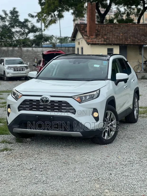 Toyota RAV4 2019 Off-White - 1
