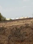 100x100 Quarter Plot for Sale in Malaa Muting'a - 2
