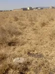 Mombasa Road Plot for Sale - Malili Town - 3
