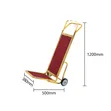 L-Shaped Gold Stainless Steel Luggage Trolley (Model LBC035) - 2