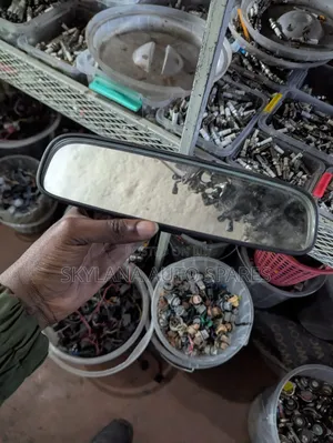 Toyota View Mirror (Used)
