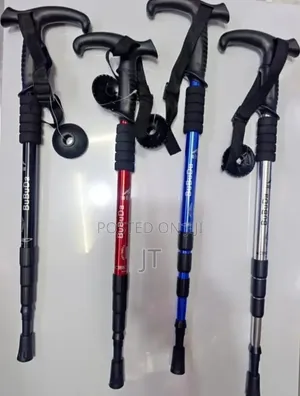 King Non-Slip Hiking Stick