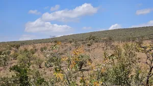Eka 176 za Ardhi Zinauzwa Ewuaso, Karibu na Mlima Suswa