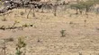 Eka 176 za Ardhi Zinauzwa Ewuaso, Karibu na Mlima Suswa - 2
