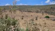 Eka 176 za Ardhi Zinauzwa Ewuaso, Karibu na Mlima Suswa - 5