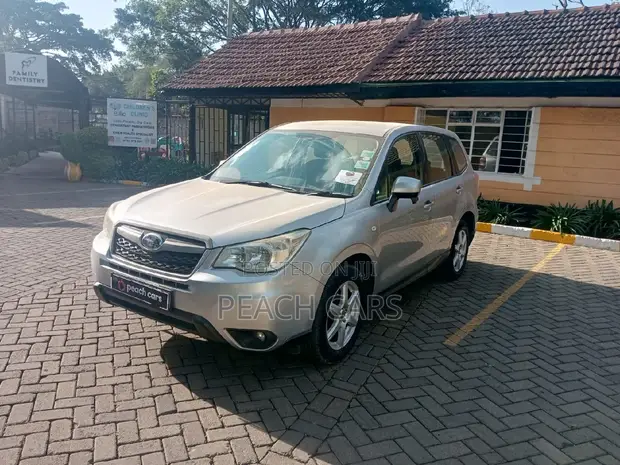 Subaru Forester 2013 Silver - 1