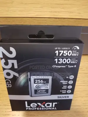 Lexar 256GB Professional CFexpress Type B Silver Series