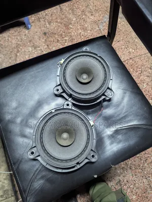 Nissan Door Speakers (Used, Ex-Japan)