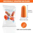 Memory Foam Ear Plugs - 3