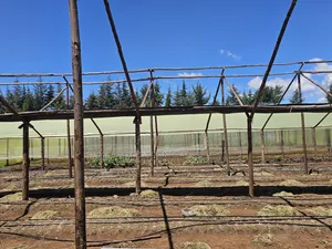 Greenhouse Installation & Drip Irrigation Services