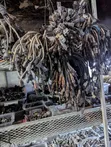 Toyota/Nissan Oxygen Sensor - Used - 1