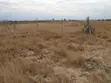 Vipande 2 vya Ardhi ya Makazi Vinavyopakana kwa Uuzaji Joska - 1