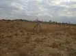 Vipande 2 vya Ardhi ya Makazi Vinavyopakana kwa Uuzaji Joska - 2