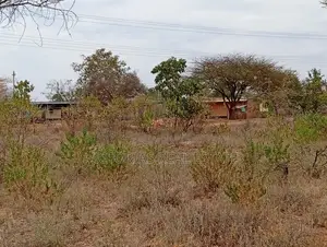 Kitalu cha 50x100 kinauzwa - Mukusu, Masinga