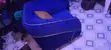 Comfortable Upholstered Armchairs - 1 Month Used - 2