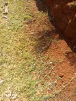 Eneo la Hekta 100 Kitui Ilamba Mutha kwa Kilimo - 2