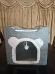 2-Story Cat House with Play Features - 4