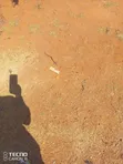 Kitui Mutha Eka 120 za Kilimo - 10km kutoka Mjini Mutha - 1