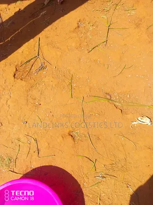 Mashamba Kitui Simisi - Eka 120 & 100 Zinauzwa