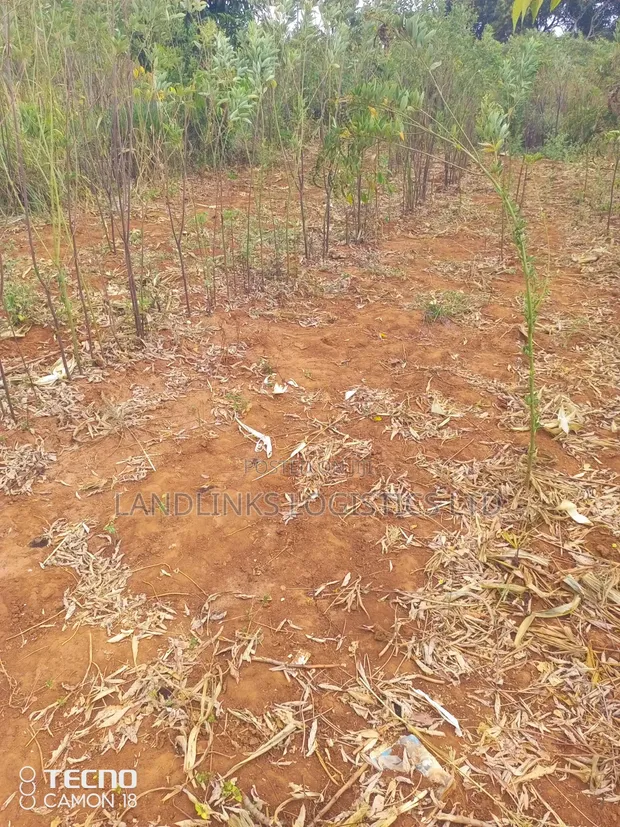 Mutumo Kitui Eka 30 za Kilimo - 1